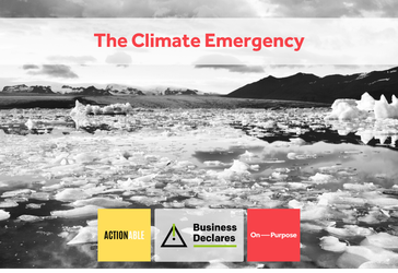 The Climate Emergency in the time of a pandemic_ What you can do about it